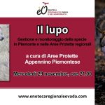il lupo Gestione e monitoraggio della specie in Piemonte e nelle Aree Protette regionali
